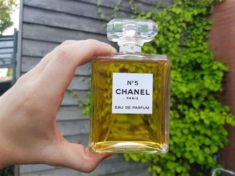 chanel no 5 similar fragrances|chanel no 5 knockoff.